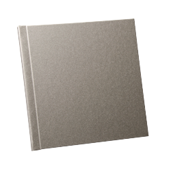 Hopeat (Silver Lux) BXT Manager Kovakannet